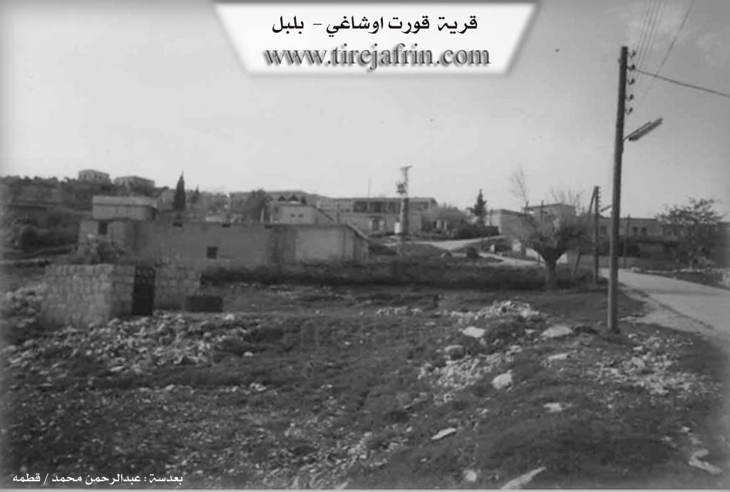 Photo of Qorta